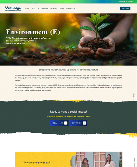 Portfolio Image